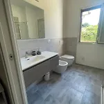 Apartman Tany